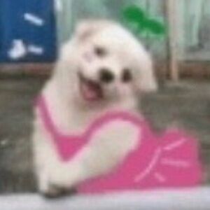 Meet your Posher, Roony